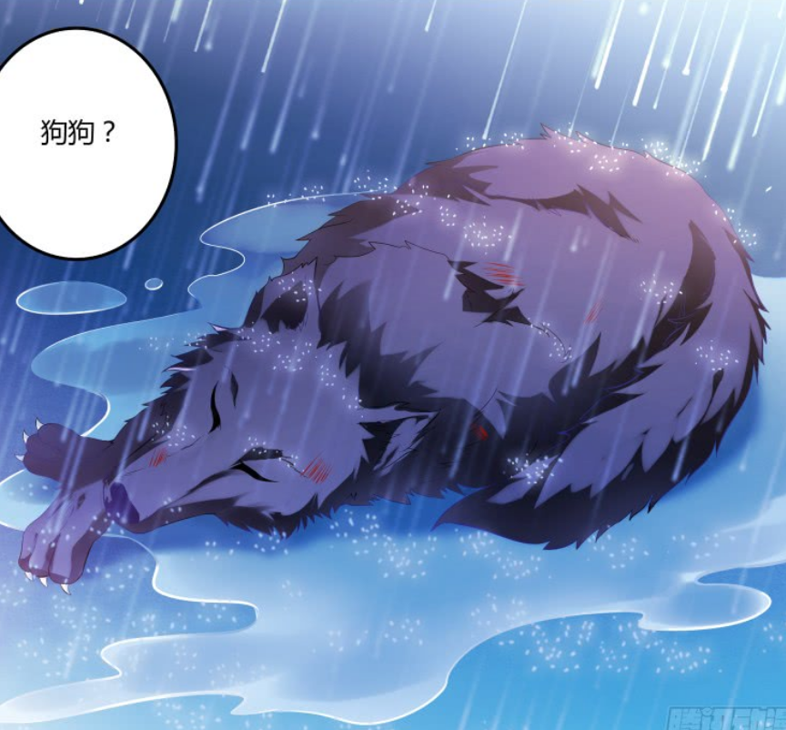 不要随便带流浪狗回家女子将流浪狗带回家后发生了可怕的一幕