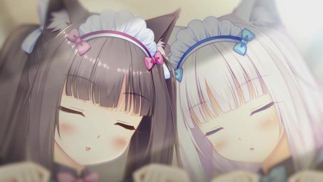 猫娘初养成猫娘乐园手游2020年上线我弟弟说他可以了