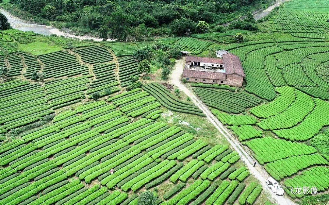 罗坑天气预报预报