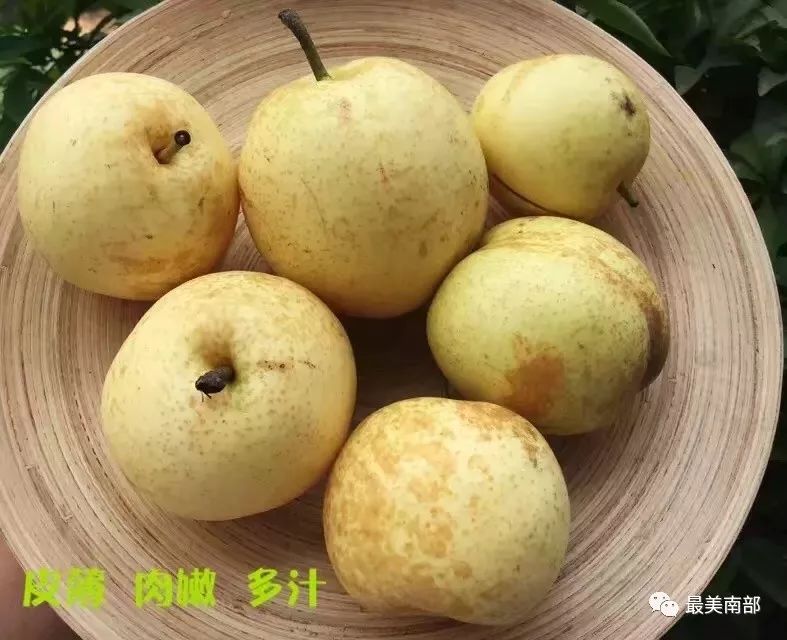膨大剂和催红素爸爸的农场是建在定水的南部本土农场爸爸的农场所以我