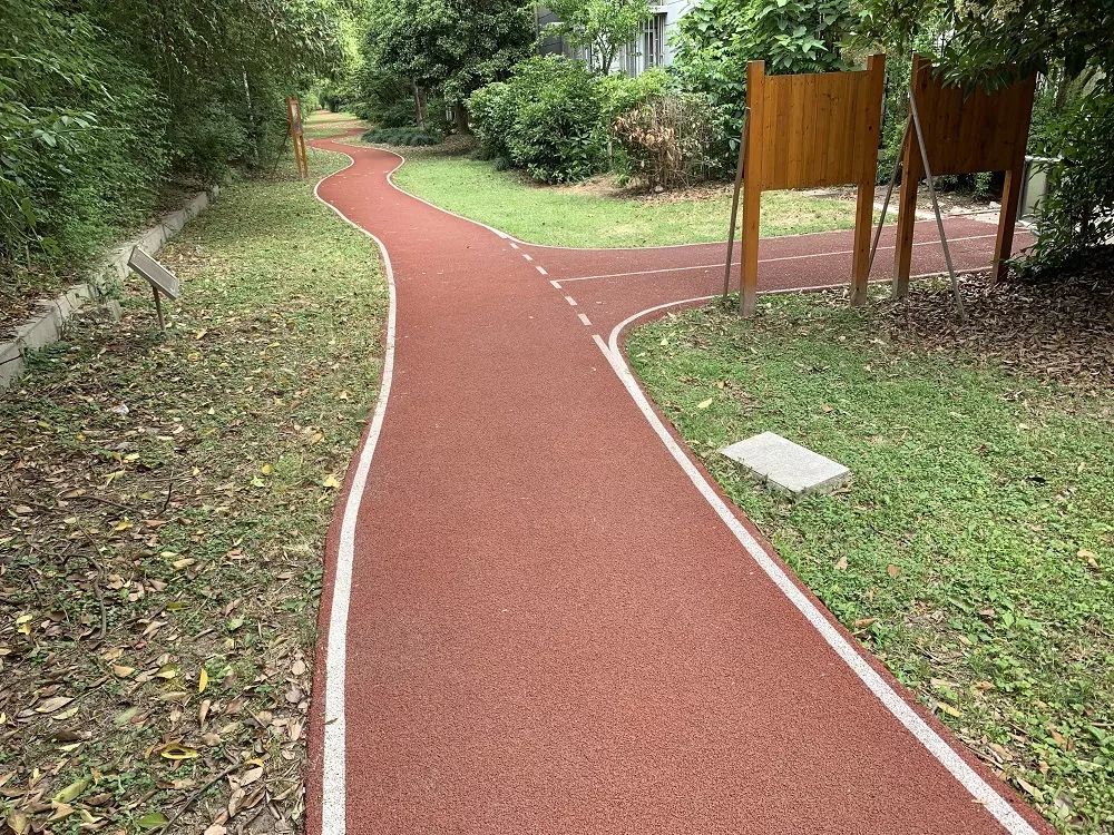 魔都最美步道评选来了松江这8条健身步道及绿道颜值满分