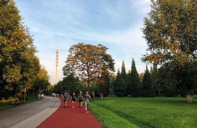 小区塑胶跑道施工厂家公园健身步道与体育场塑胶跑道有什么区别