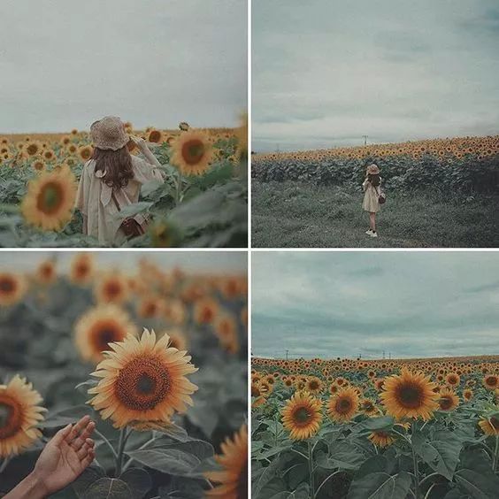 好吧~快也拍一张四宫格的照片吧~坚持看摄影技巧,摄影美图