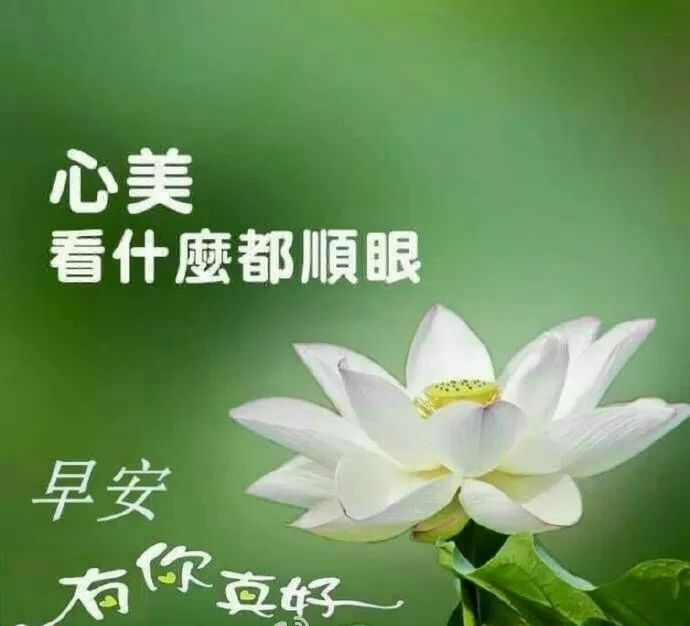 最新版早上好快樂祝福語短信句子超級漂亮早上好問候祝福語動態圖片帶