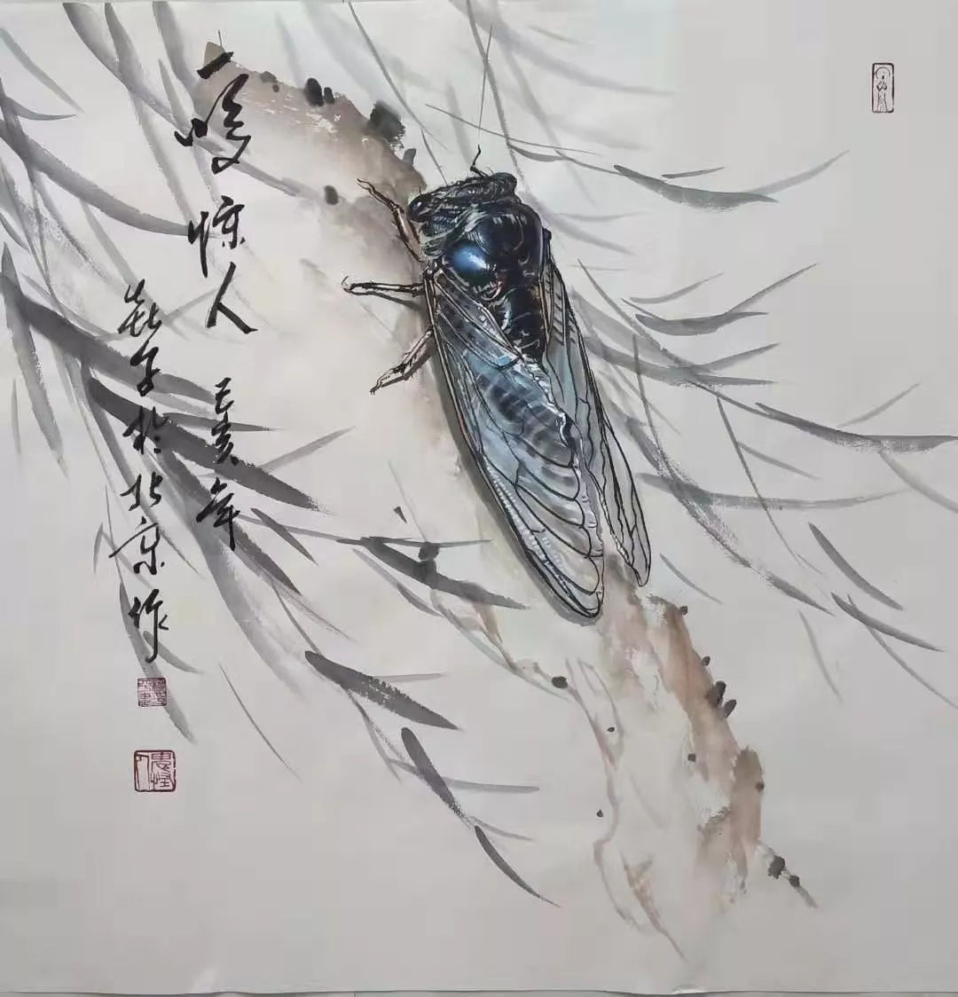 画家柳平 画蝉一鸣惊人