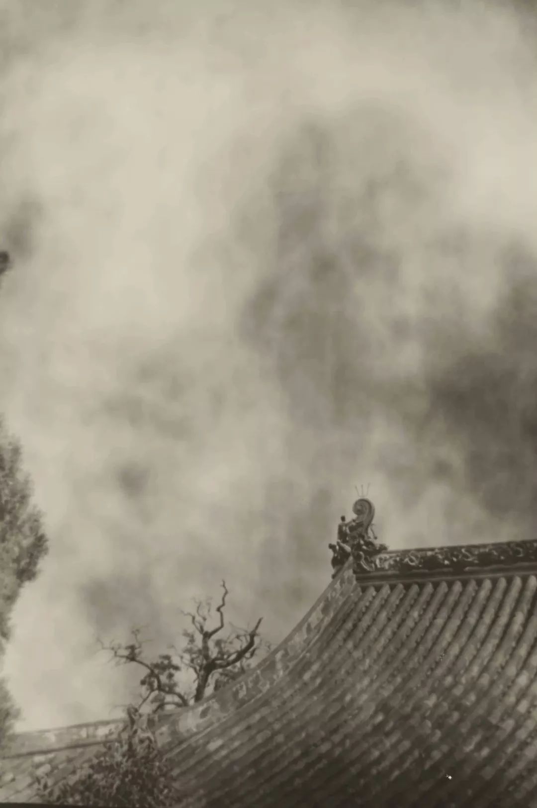 近年来,中国观念摄影的生态得到了良性的发展,比如在朱浩具有实验性的