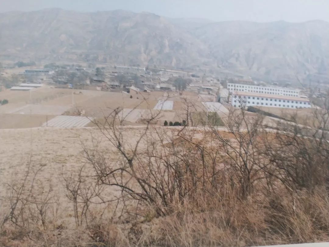 【揭秘】甘谷渭水峪,礼辛,毛家坪三大遗址.