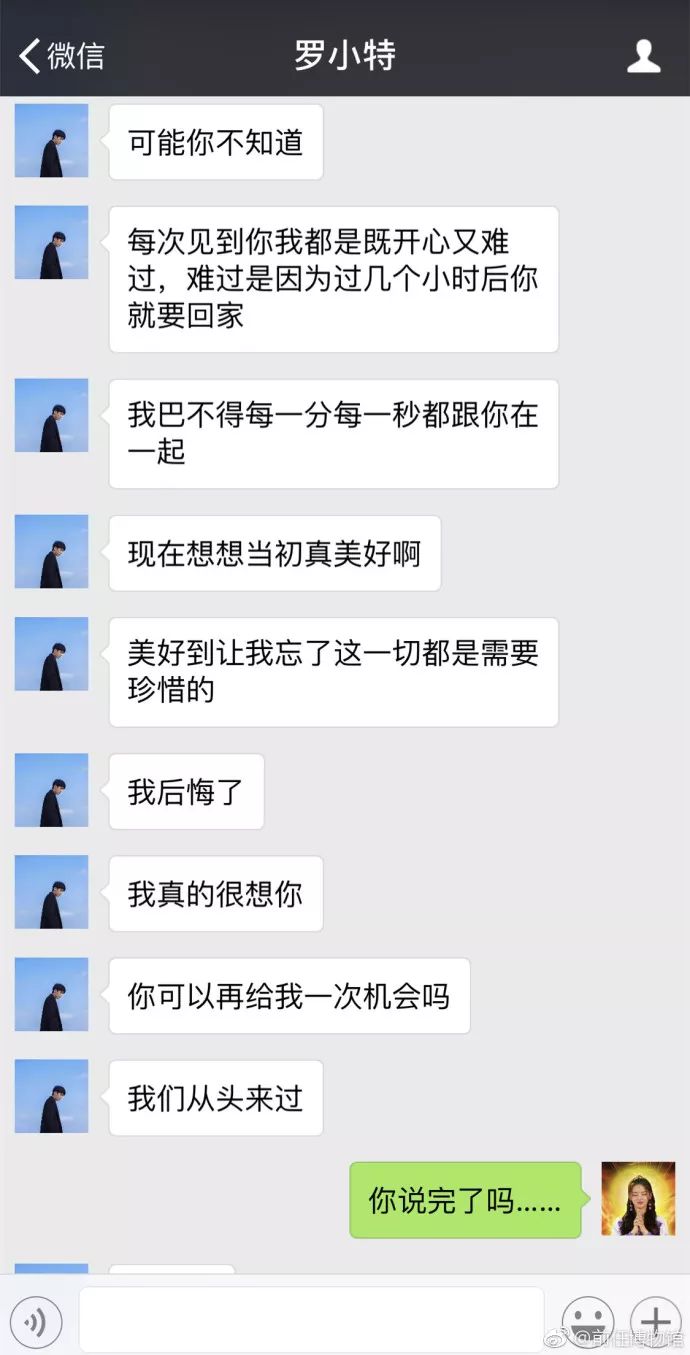 罗小特野蜂飞舞图片