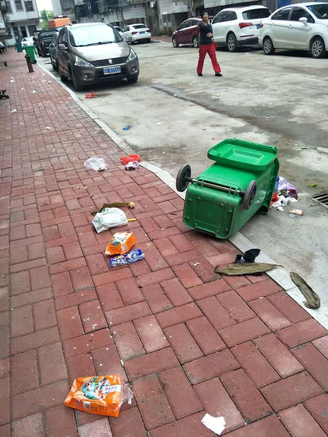 区社保局对白鹤园小区包保区域内的卫生进行整治,并对被翻倒的垃圾桶