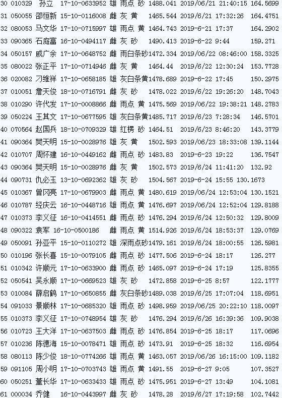 詹天俊,薛启鹤,袁军均归巢三羽赛鸽,张兆永,张正平,陈少俊,丁文林,樊