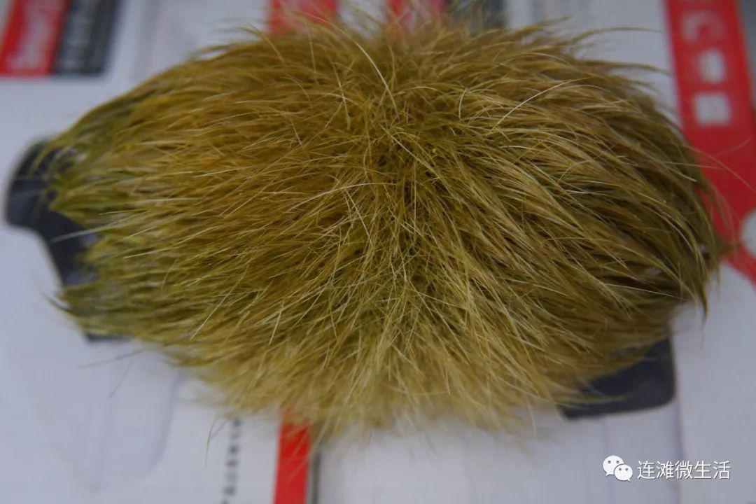 德庆隔离,竟有猪肉佬劏猪时得到"猪砂",全国极其罕见,价值百万!