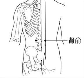 腰陽關在腰部,當後正中線上,第4腰椎棘突下凹陷中大腸俞在腰部,當第4