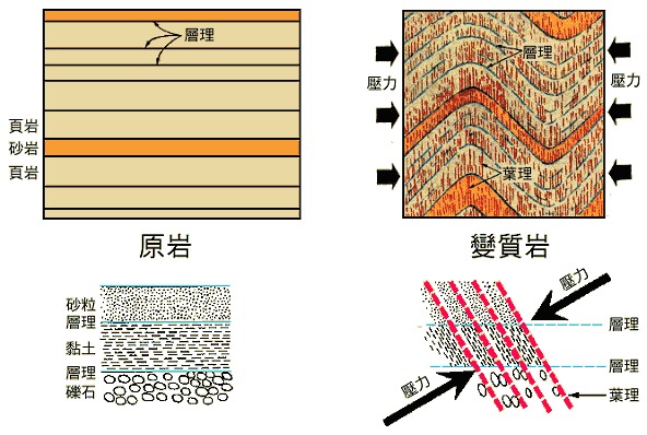 在各种成因类型的变质岩中,区域变质岩分布最广,其他成因类型的变质岩