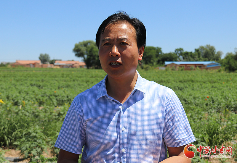 以镇原县富羚养殖专业合作社为依托,14个村级奶山羊养殖专业合作社