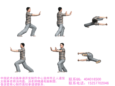 起式2,左右野马分鬃3,白鹤亮翅4,左右搂膝拗步15,左右搂膝拗步26,手挥