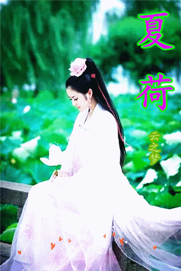 荷 花(mv)犹如一群荷花仙子翩然而至晨曦 摄制夏 日 赏 荷一年一度