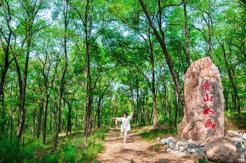 體驗慢生涯萊西市大青山森林公園編纂:李建明返回搜狐,查看更多