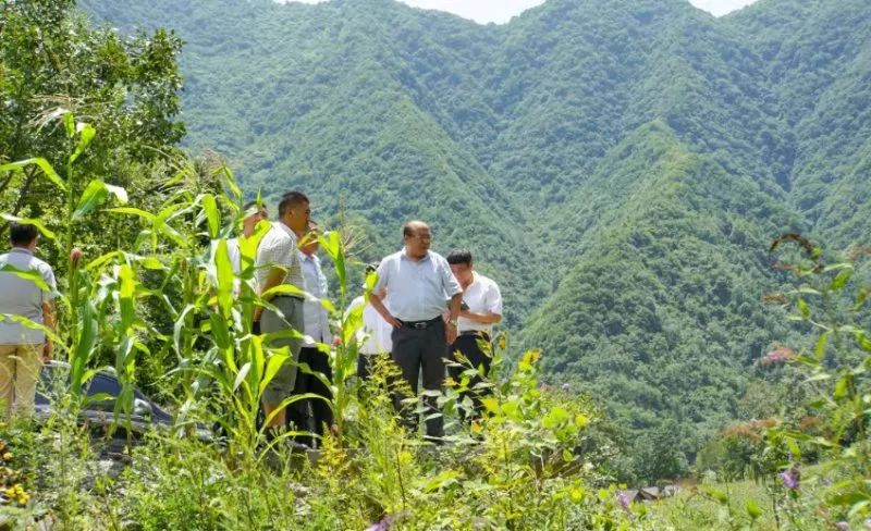 我与政协文艺作品展陈武成从割漆匠到金融专家