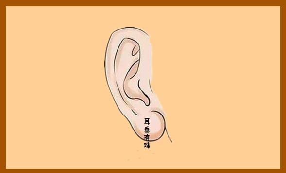 耳垂有珠耳朵在相学中是福气的象征,而一般耳垂的位置有珠,耳朵长得大