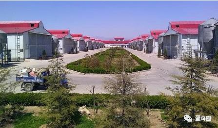 运城市委等领导的陪同下,莅临山西晋龙集团西位300万蛋鸡养殖场视察