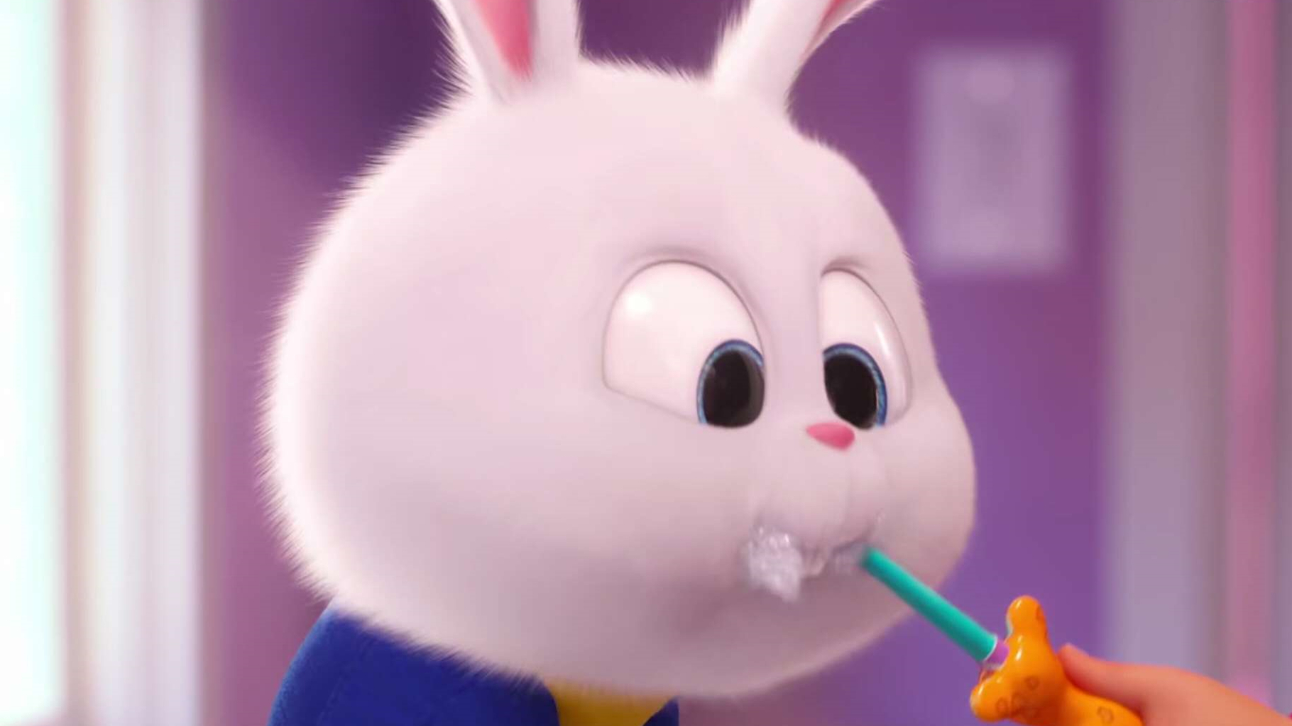 在《爱宠大机密2》中,兔小白也是我最期待的角色.