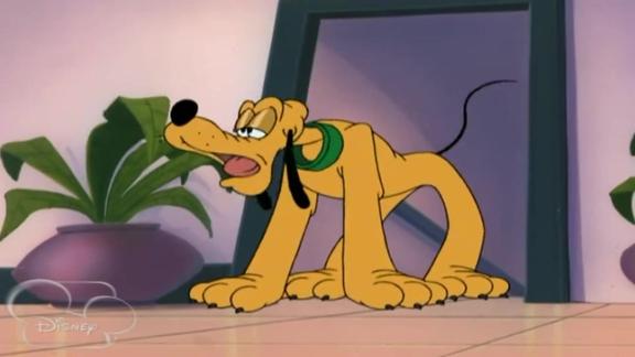 米老鼠新传布鲁托吓晕看门狗进入大厦美女狗被他吸引了