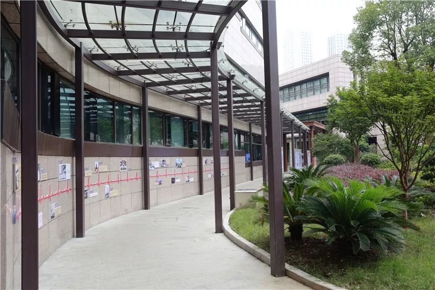 这边风景独好丨医院长廊映初心一院文化践使命