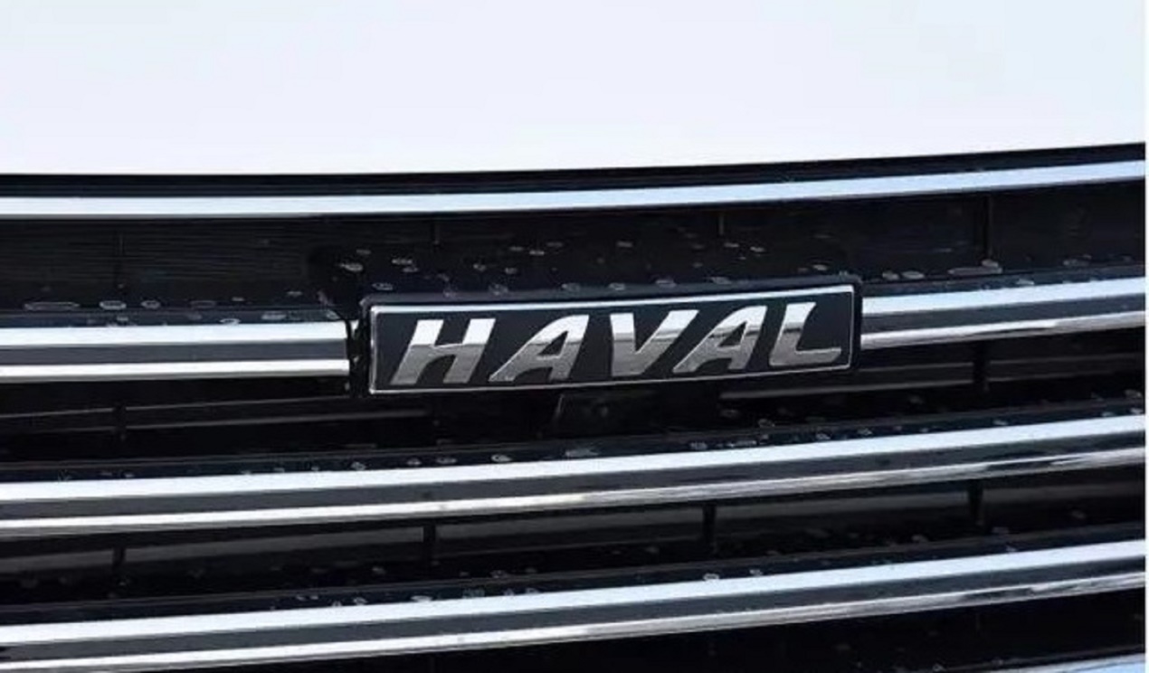 新车前脸采用六边形家族式前脸,搭配全新黑色车标,相比以往的红,蓝