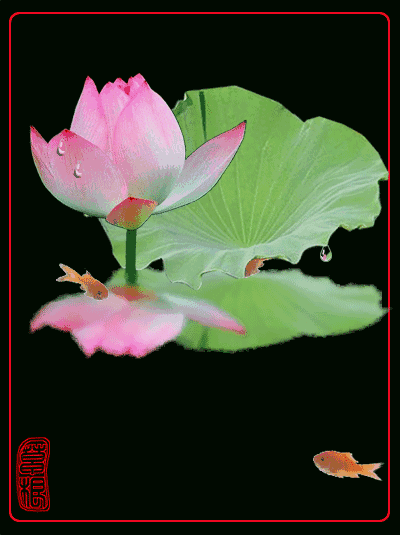 400_535竖版 竖屏gif 动态图 动图