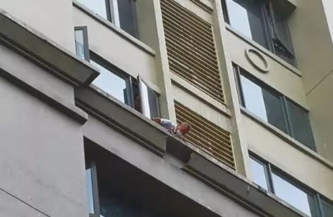 东莞又一名儿童坠楼!经抢救无效身亡!