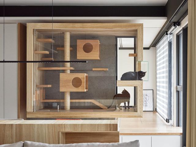 150㎡打造森系风悬浮玻璃屋阳光通透超治愈养猫的朋友看了都羡慕