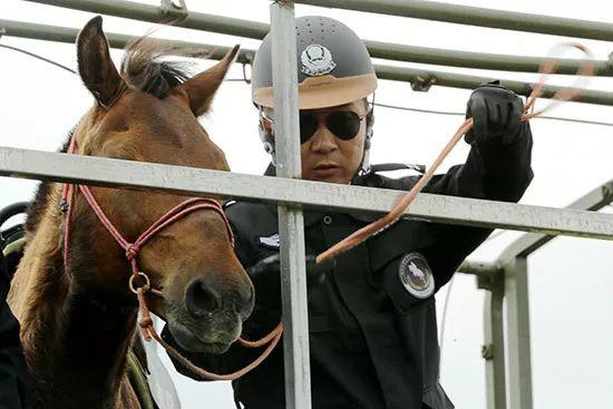 马背骑警守护一方平安