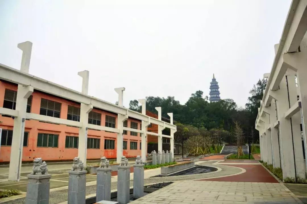 占地面积385亩!这个森林公园正式对外开放