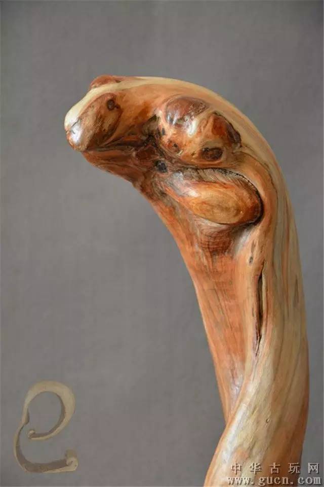 100种顶级太行崖柏价值超10亿绝对震惊你的眼球