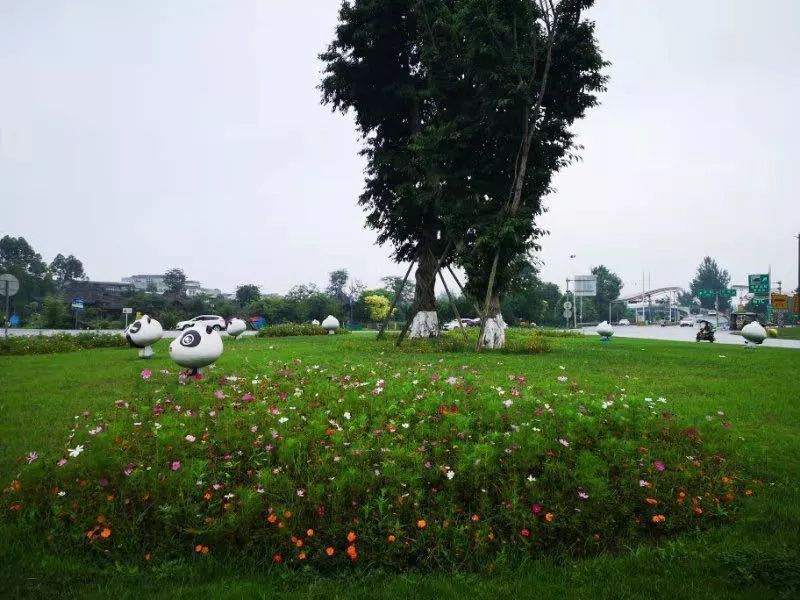 骑行百公里畅游雾中山有氧健康行2019成都大邑雾山农场骑行活动圆满