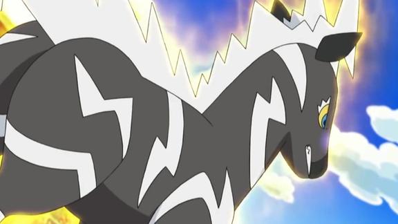 神奇宝贝蓝蟾蜍和雷电斑马太拼了双方都不认输战到两败俱伤