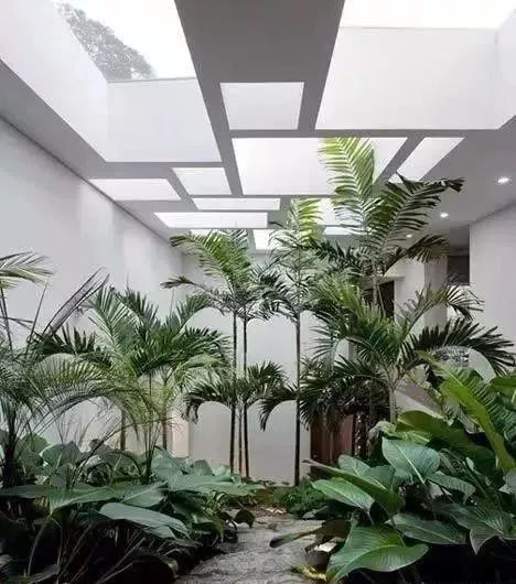 御梵景观有一种天井叫花园100款天井花园准有一款适合您