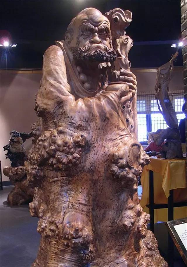 100种顶级太行崖柏价值超10亿绝对震惊你的眼球