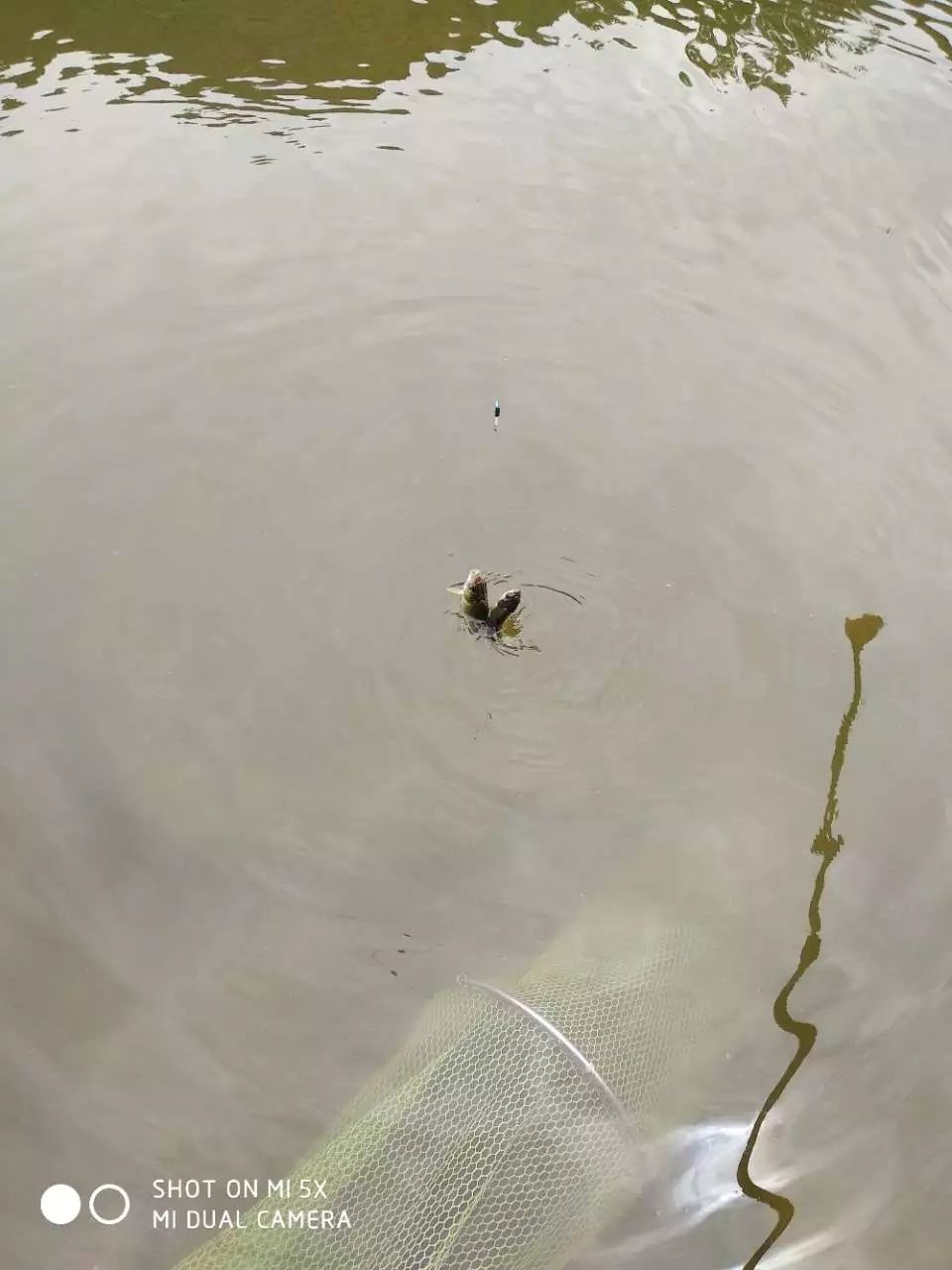 手机打窝必须爆护