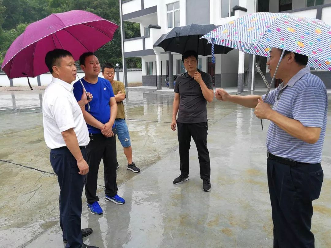 举报安康杨海波材料图片