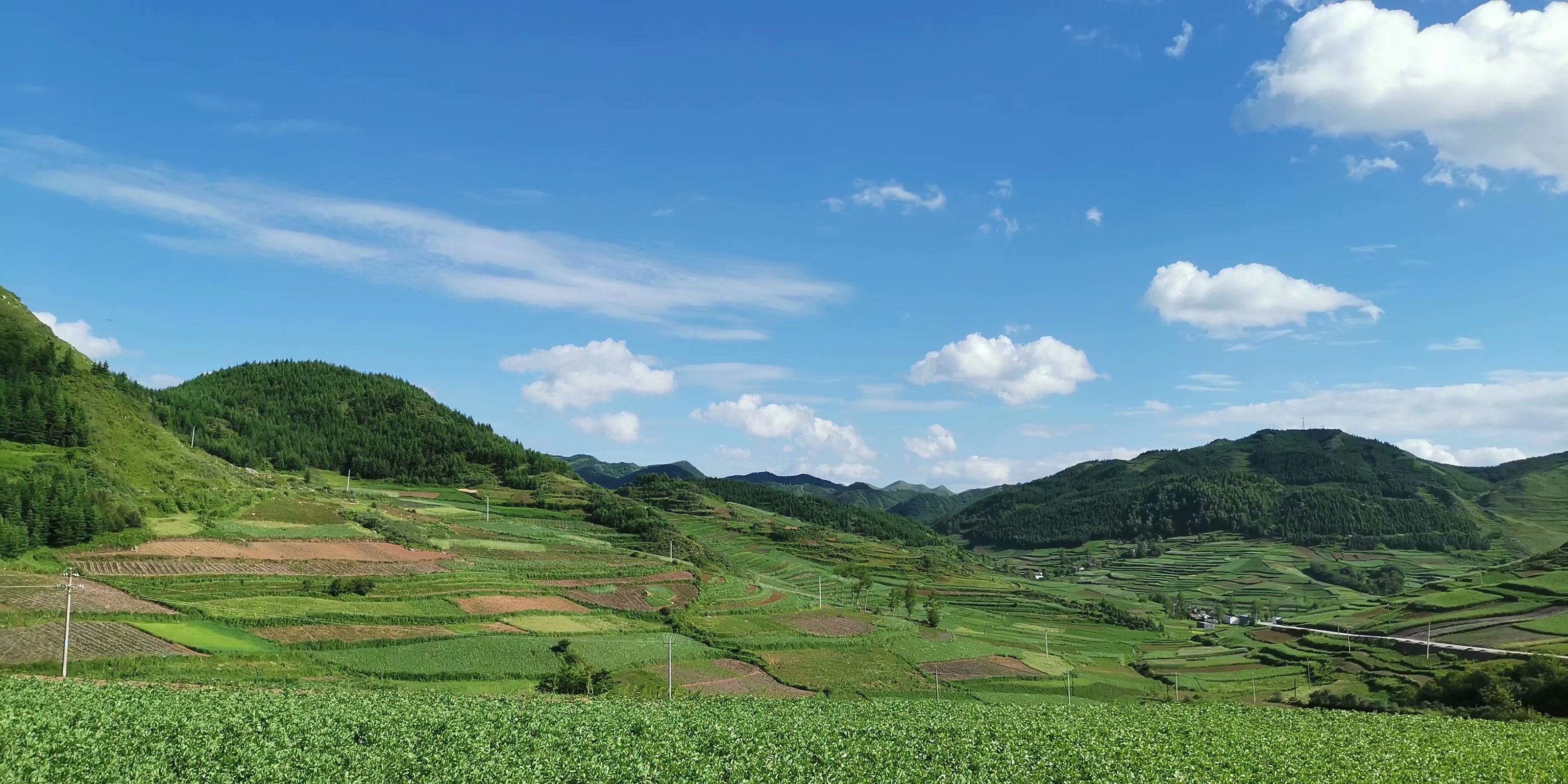 【美景分享】高山貓-隨拍故鄉山水,自駕出行最美_旅遊