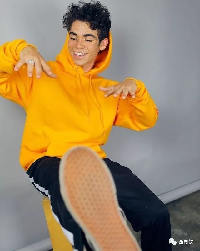 原创年仅20岁的迪士尼一哥cameronboyce因癫痫去世