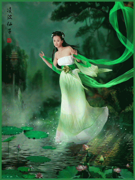 音画诗赏一年一度荷花开疑是云中玉人来