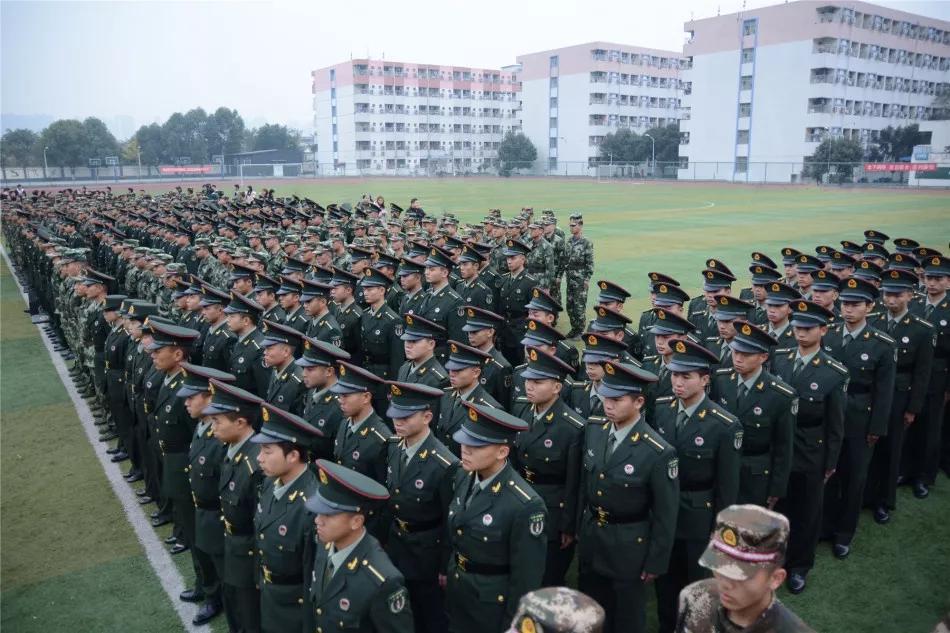 实现你的军人梦！关于定向培养士官专业志愿填报你想知道的都在这里_招生