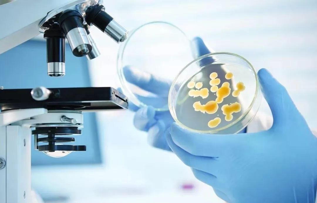 国家级认可台州市仅3家区二院医共体连续7年被纳入全国细菌耐药监测网