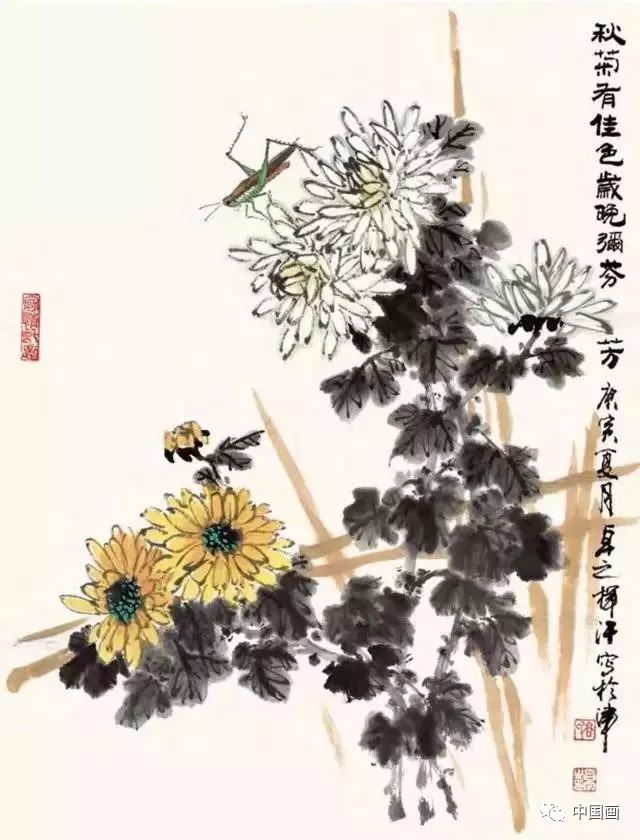 写意菊花画法,清晰明了