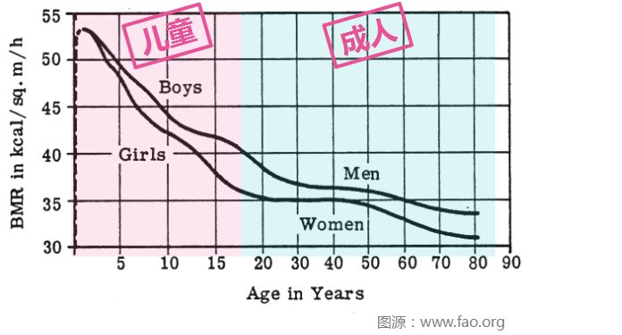 从下面这个图可以看出,儿童的基础代谢率比成人,尤其是老年人要高.