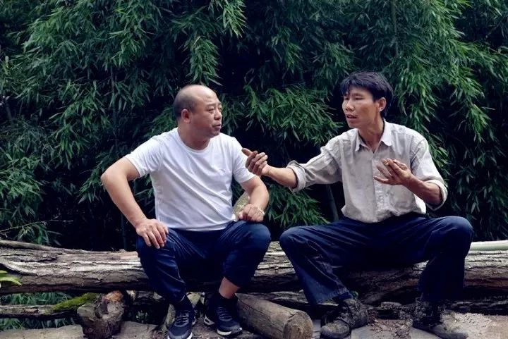 我与政协文艺作品展陈武成从割漆匠到金融专家