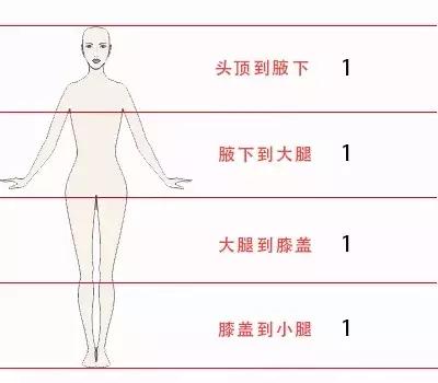 膝盖到地面=1:1:1:1我们人体也可以划分比例,完美的身材比例是▽黄金