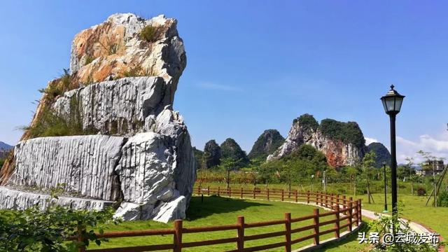 这个公园里藏着云浮的根